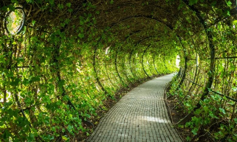 enterprise growth data points