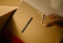 global intelligence report summary