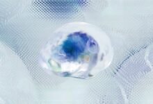 next level digital analytics