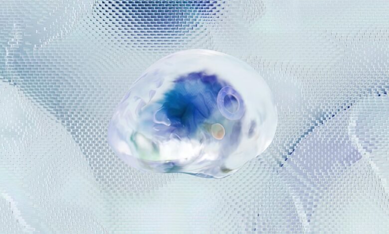 next level digital analytics